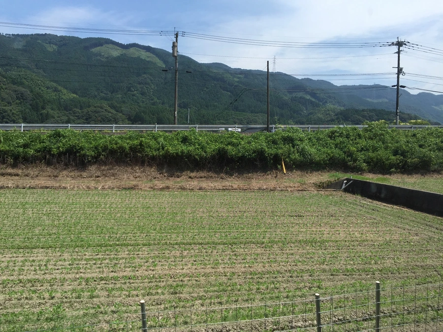 車窓の風景 車窓の風景